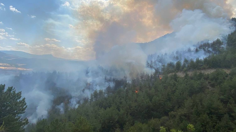 Karabük'te ormanlık alanda yangın