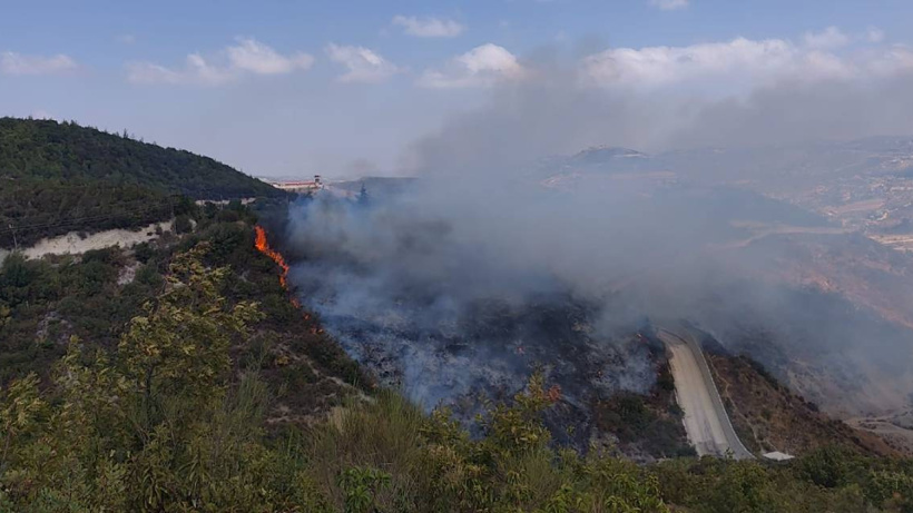 Hatay'da çıkan orman yangını kontrol altına alındı
