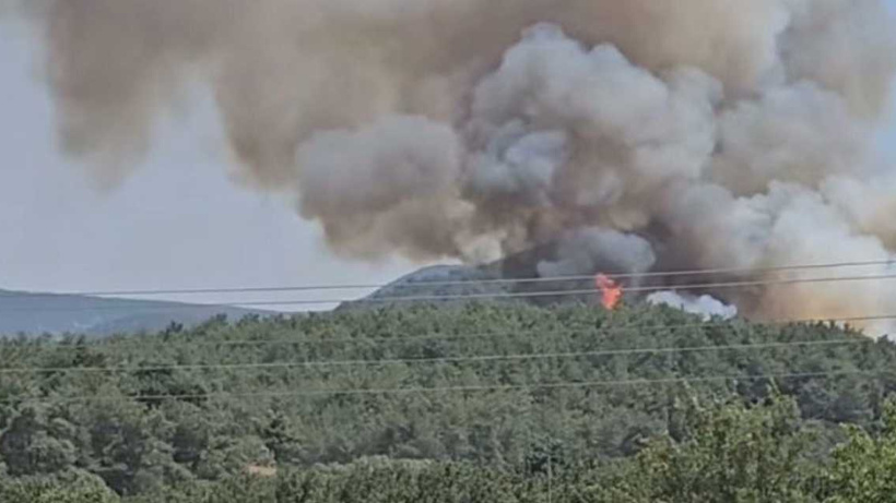 Orman yangınına neden olan kaynakçı tutuklandı