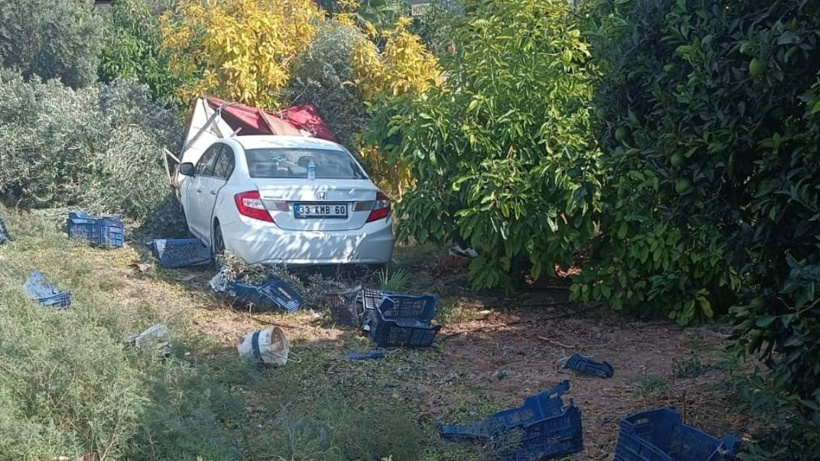 Mersin'de otomobil zeytin toplayan işçilere çarptı: 1 kişi hayatını kaybetti 3 yaralı