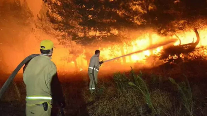 Çanakkale'de orman yangını sonrası korkunç bulgu: Yanmış halde erkek cesedi bulundu