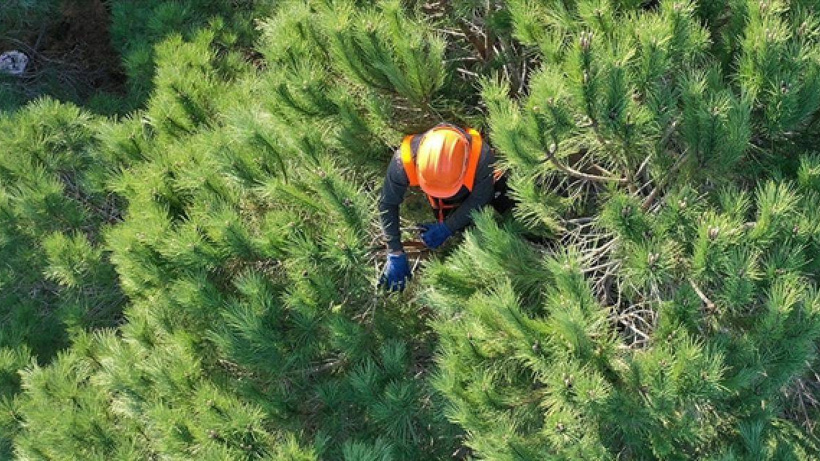 Orman Genel Müdürlüğü 496 personel alacak