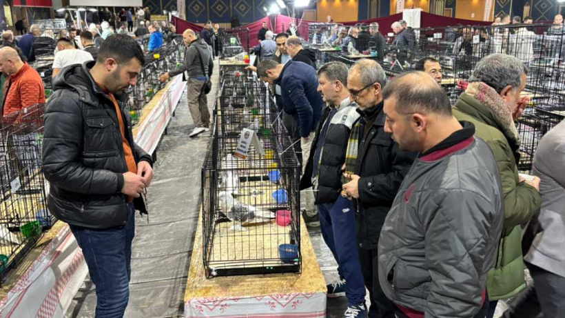 Ankara'da daire fiyatına güvercin! 7 milyona kadar çıkıyor