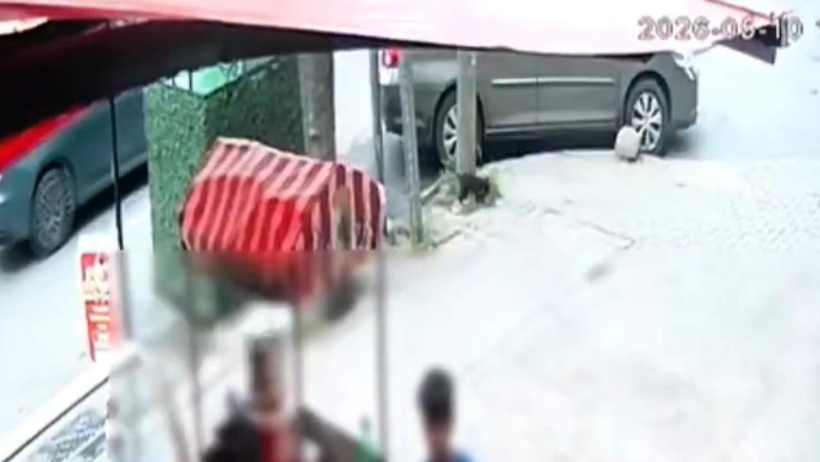 İki çocuk sokak ortasında kedi bıçakladı: Müdahale eden esnafı da tehdit ettiler - Resim : 3