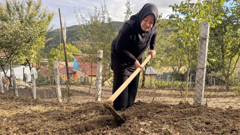 gülsüm köseoğlu salep orkidesi