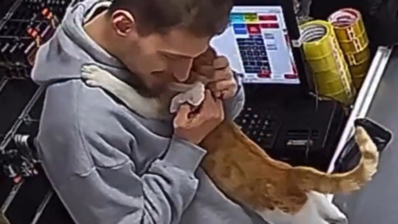 riza ardeşen ferhat hayat sarılan kedi