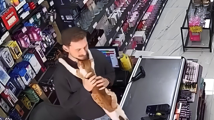 riza ardeşen ferhat hayat sarılan kedi