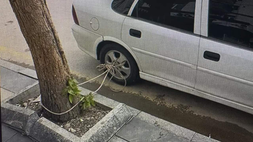 Vatandaş arabasını sağlam kazığa bağladı: Baraj taşar sel basarsa diye hazırlığını yaptı - Resim : 1