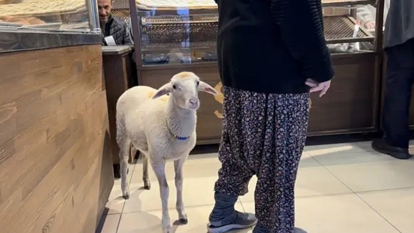 kuzu çorap