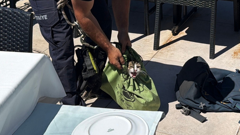 Falezlere 40 metre düşüp bir hafta mahsur kalan kedi kurtarıldı - Resim : 6