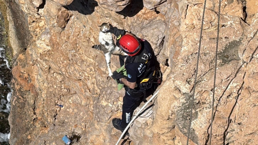 Falezlere 40 metre düşüp bir hafta mahsur kalan kedi kurtarıldı - Resim : 5