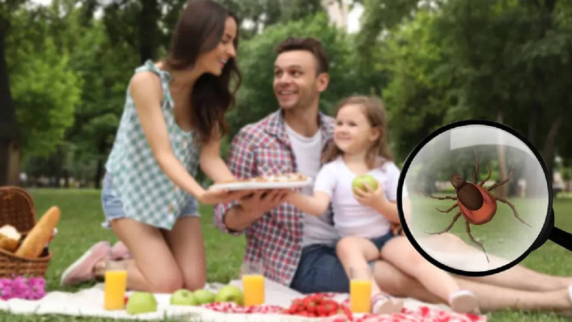 Sadece ormanda sanıyorsanız yanılıyorsunuz! Bahçenizdeki bu 4 bitki kene yuvası çıktı! - Resim : 1