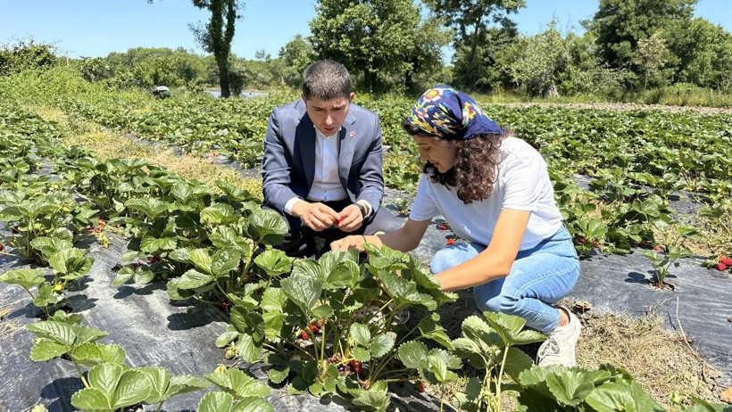 Bankacılığı bıraktı toprağa atıldı: Şimdi aileler tarlasına akın ediyor - Resim : 6