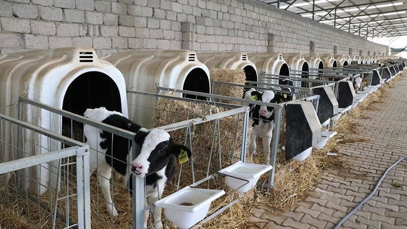 AB Türklere 30 milyon euro verecek! Başvuru tarihi belli oldu - Resim : 4