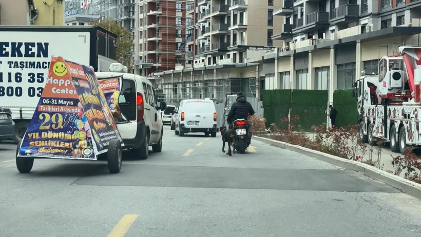 Vicdansızlığın böylesi! Köpeği motosiklete bağlayıp koşturdu cezayı yedi - Resim : 4