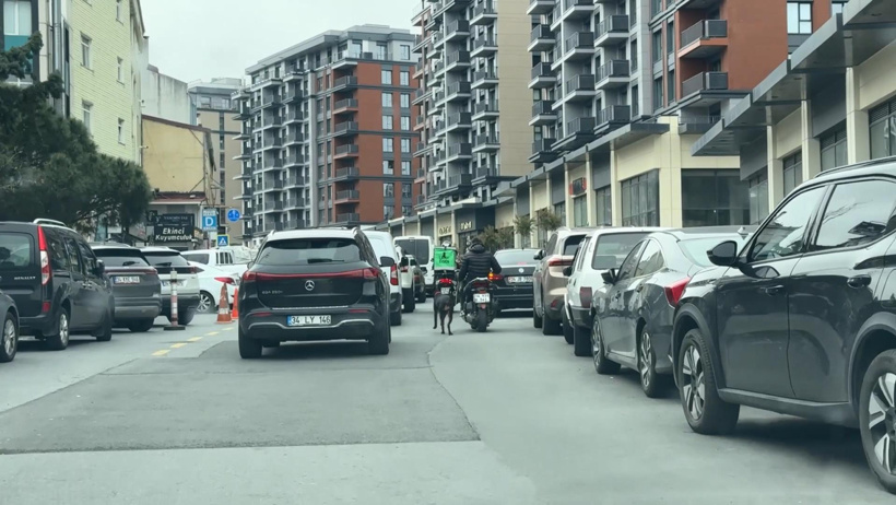 Vicdansızlığın böylesi! Köpeği motosiklete bağlayıp koşturdu cezayı yedi - Resim : 1