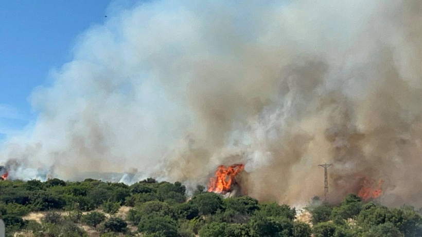 Çanakkale'de orman yangını
