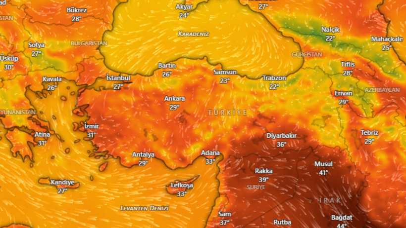 Meteoroloji serinleten haberi verdi: Sıcaklığın zirve yapıp düşeceği tarihi açıkladı - Resim : 2
