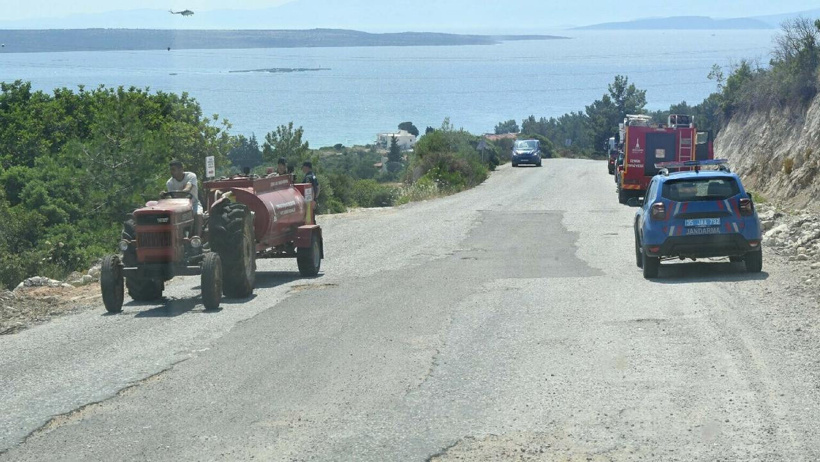 İzmir'de orman yangını - Resim : 1