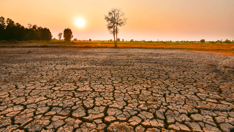 El Niño'ya karşı insanlık direniyor! Karadeniz'den bereket fışkırdı depolar ağzına kadar dolu - Resim : 3