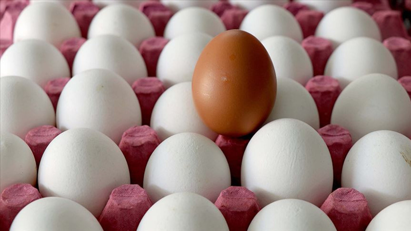 Neredeyse herkes bu hatayı yapıyor: Tazeliğini saniyeler içinde bitiriyor - Resim : 3