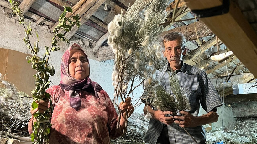 Bundan daha fazla gelir getiren iş yok dedi: Sadece 40 günde 216 bin lira kazandı - Resim : 2