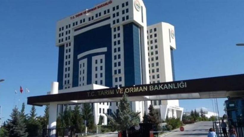 Tavuk operasyonu AKP'de bardağı taşıran son damla olmuş: Şikayet eden edene - Resim : 4
