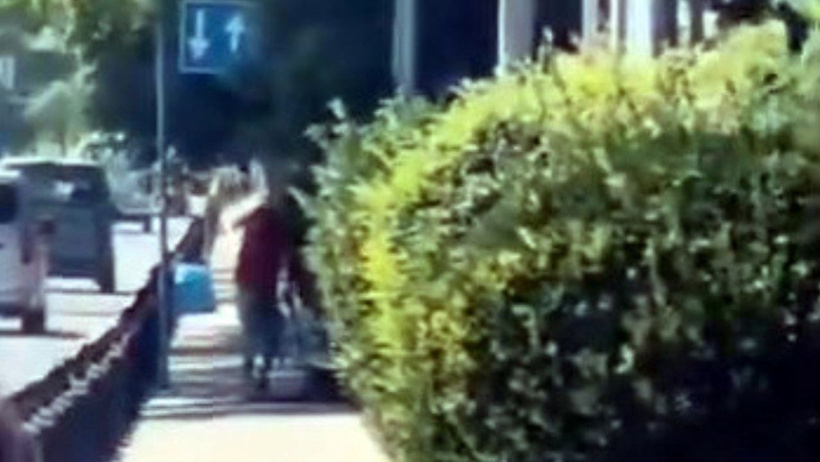 Güpegündüz köpeğe işkence etti! Acı çığlıkları tüm sahili kapladı... - Resim : 1