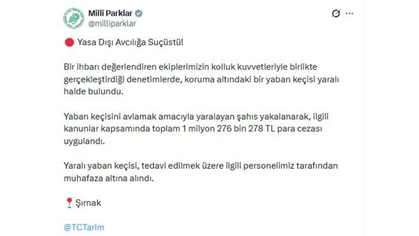 Dağ keçisini vuran kaçak avcı suçüstü yakalandı: 1 milyon 276 bin 278 TL para cezası uygulandı - Resim : 2