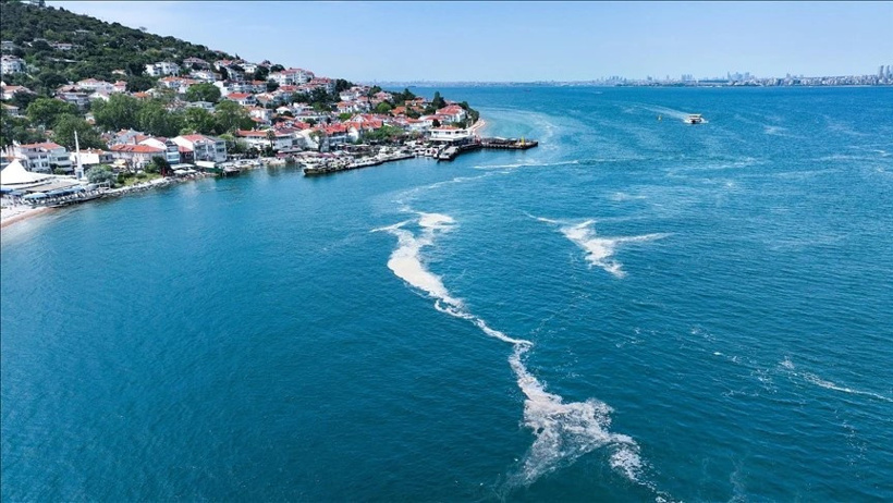 Sofradaki balık riskte! Marmara Denizi için korkutan rapor - Resim : 1