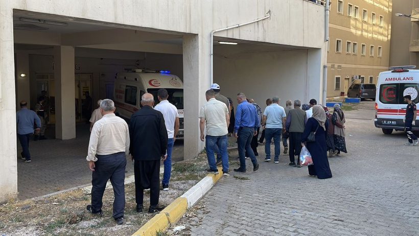Tatile gelmişlerdi: İki kardeşten acı haber geldi! - Resim : 1