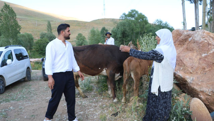 Ailenin tek geçim kaynağı uçurumdan düşmüştü: Yerine 2 inek ve 2 buzağı bağışlandı - Resim : 1