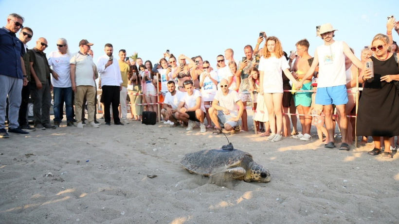Engelli caretta caretta için seferber oldular: Dünyada bir ilk oldu - Resim : 5