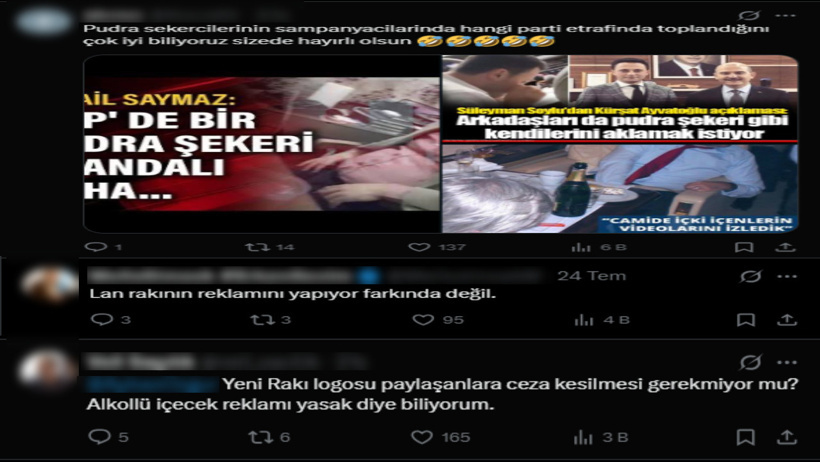 Sarayın başdanışmanı YENİ Parti'yi hedef aldı: Yaptığı benzetme sosyal medyayı ayağa kaldırdı - Resim : 4
