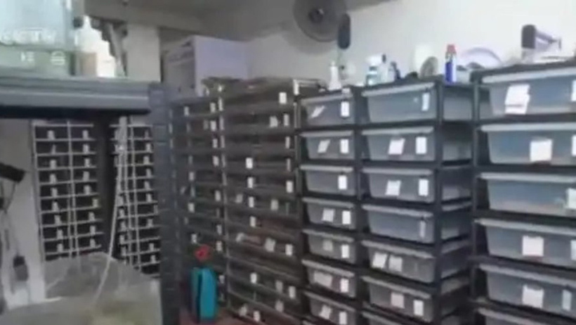 Elektrik faturası ele verdi: Evinden tam 436 piton çıktı - Resim : 1