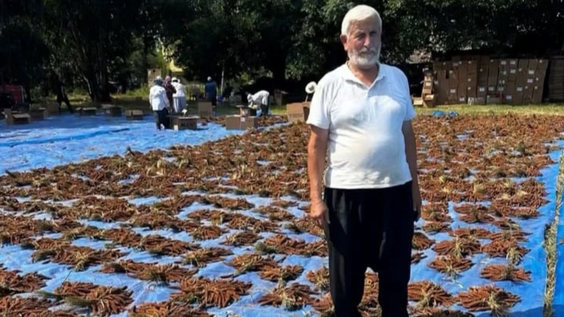 Çin tekelini bitirmeye geldiler: Türkiye'de ilk kez ektiler, kilolarca ürünü dövizle sattılar - Resim : 2