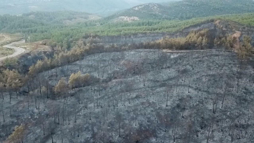 Felaket 3'üncü gününde! Orman yangınlarının biri bitmeden diğer başlıyor - Resim : 9