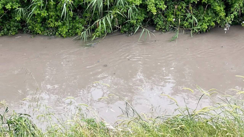 İngiltere bunu konuşuyor: Adana'ya gönderdikleri plastik atıklar çevre krizine mi dönüştü? - Resim : 2