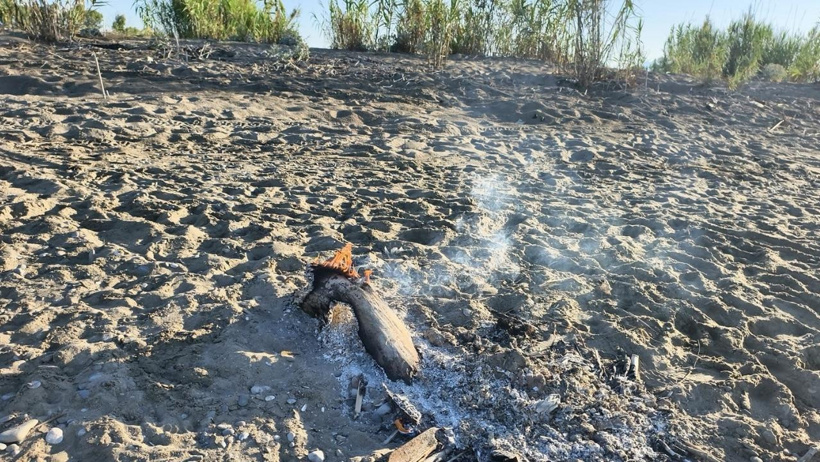 Sadece denize gitmek istemişti: Yasağa rağmen yakılan ateş caretta caretta yavrusunun sonunu getirdi - Resim : 1