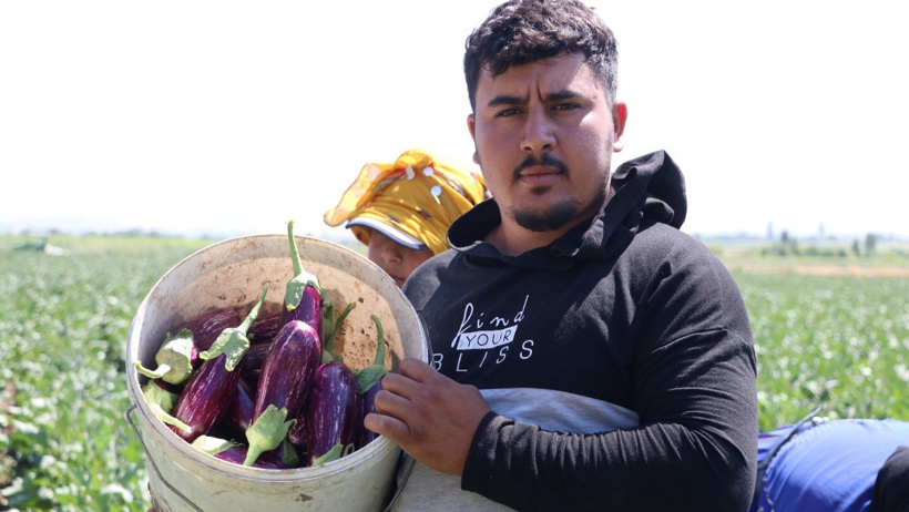Tescilli lezzetin hasadı başladı: Göz alıcı rengiyle kurusundan reçeline 50 çeşit ürüne dönüşüyor - Resim : 3
