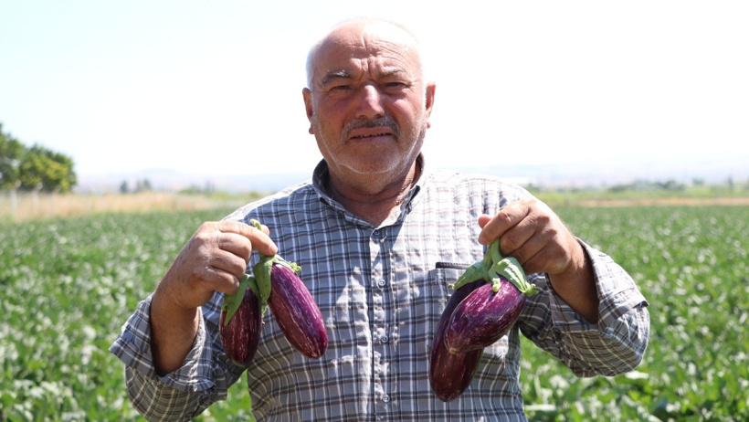 Tescilli lezzetin hasadı başladı: Göz alıcı rengiyle kurusundan reçeline 50 çeşit ürüne dönüşüyor - Resim : 2