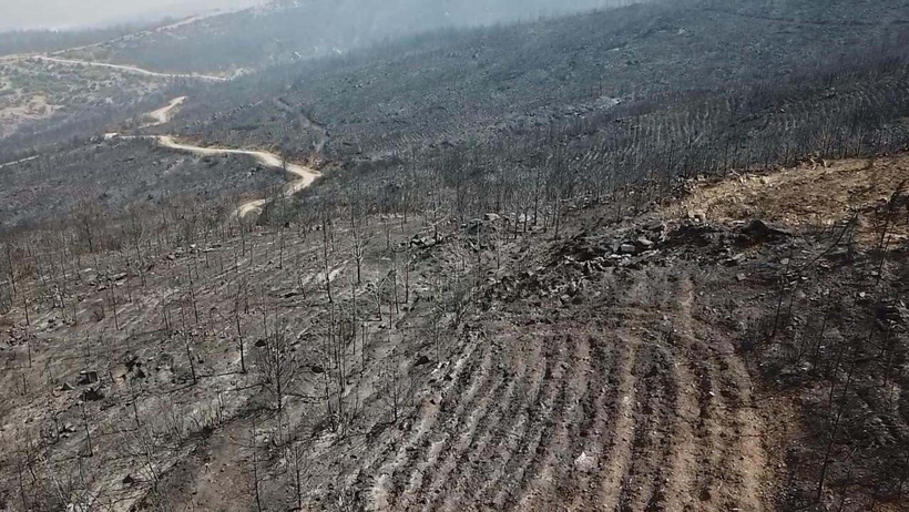 Yeni gelişmelere "hazır olun" diyerek uyardı: El Nino'nun Türkiye'ye giriş yaptığı yeri açıkladı - Resim : 1