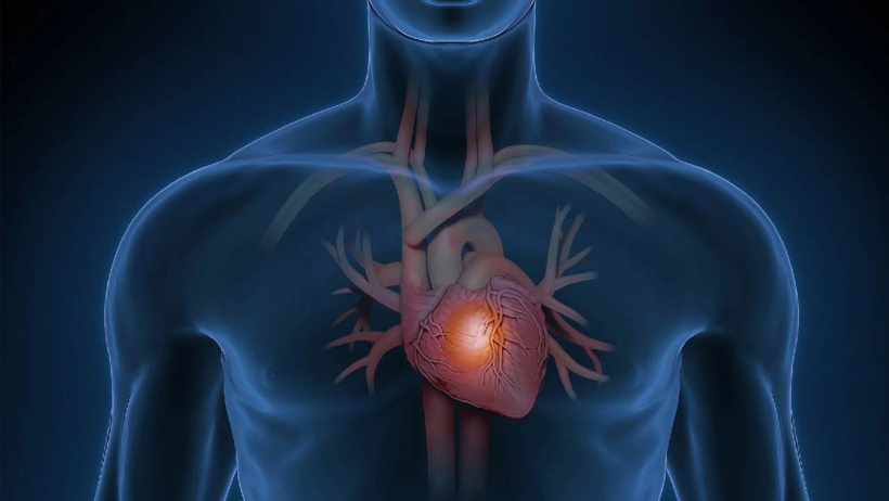 50 binde 1 ihtimal: Kanserin uğramaya çekindiği organ! - Resim : 1