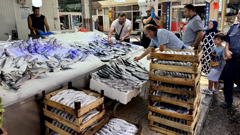 Bu sene bolluk var, denize açılan boş dönmüyor: Tanesi 200 liradan tezgaha indi - Resim : 2