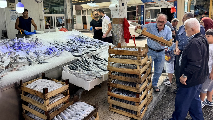 Bu sene bolluk var, denize açılan boş dönmüyor: Tanesi 200 liradan tezgaha indi - Resim : 1