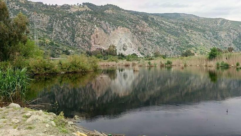 Dere kenarında uçamaz halde bulundu: Türkiye'nin en nadir kuşlarından biri çıktı - Resim : 3