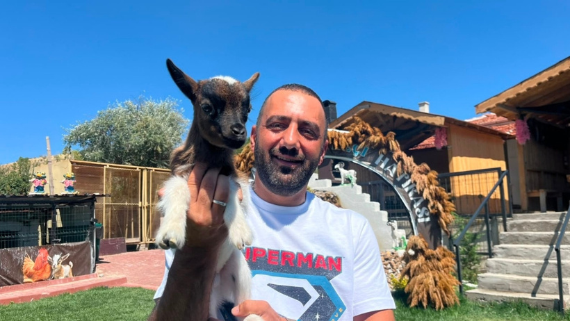 2 taneyle başladı, 90 başlık sürü kurdu: Bu cüce keçilerin ne eti ne de sütü tüketilebiliyor - Resim : 2