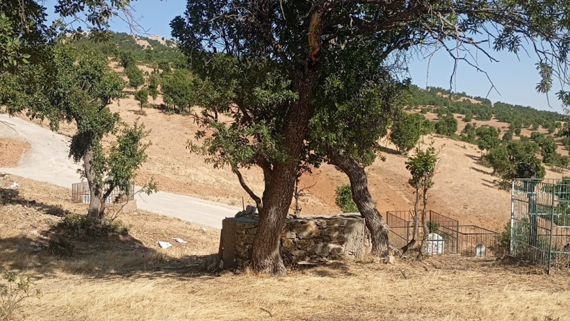 Bu geleneği yerine getirmezlerse uğursuzluk geliyor: 300 yıldır kesintisiz sürdürüyorlar - Resim : 1