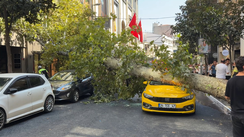Şişli’de ölümden döndüler! Devrilen ağaç 2 aracın üzerine düştü yol kapatıldı - Resim : 5