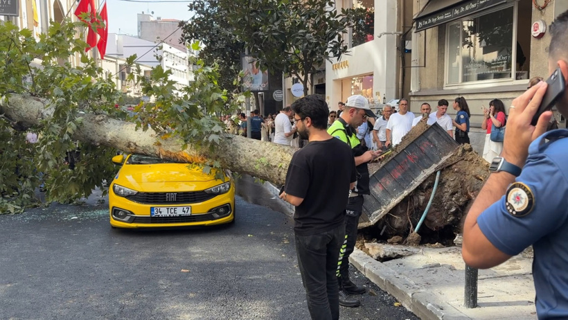 Şişli’de ölümden döndüler! Devrilen ağaç 2 aracın üzerine düştü yol kapatıldı - Resim : 1